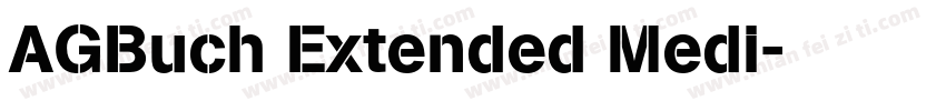 AGBuch Extended Medi字体转换
